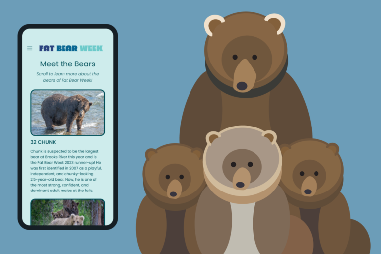 Bear App & Graphic Design